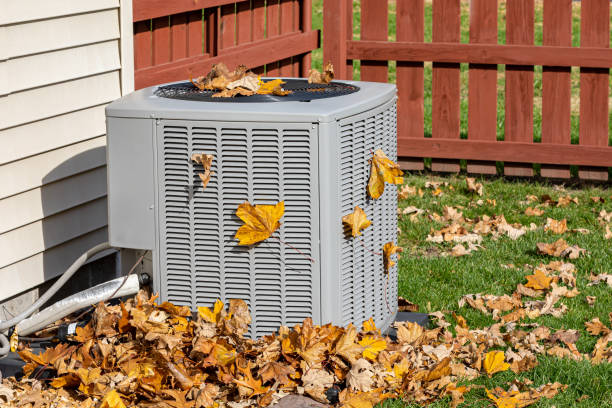Best HVAC air duct cleaning  in San Buenaventura, CA